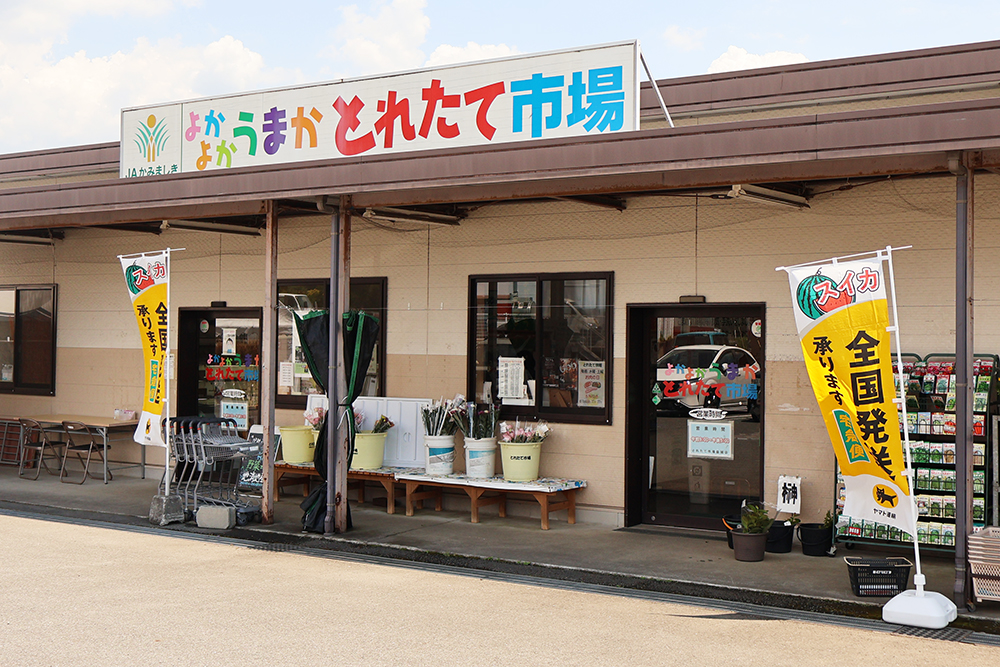 近隣 - とれたて市場 益城店